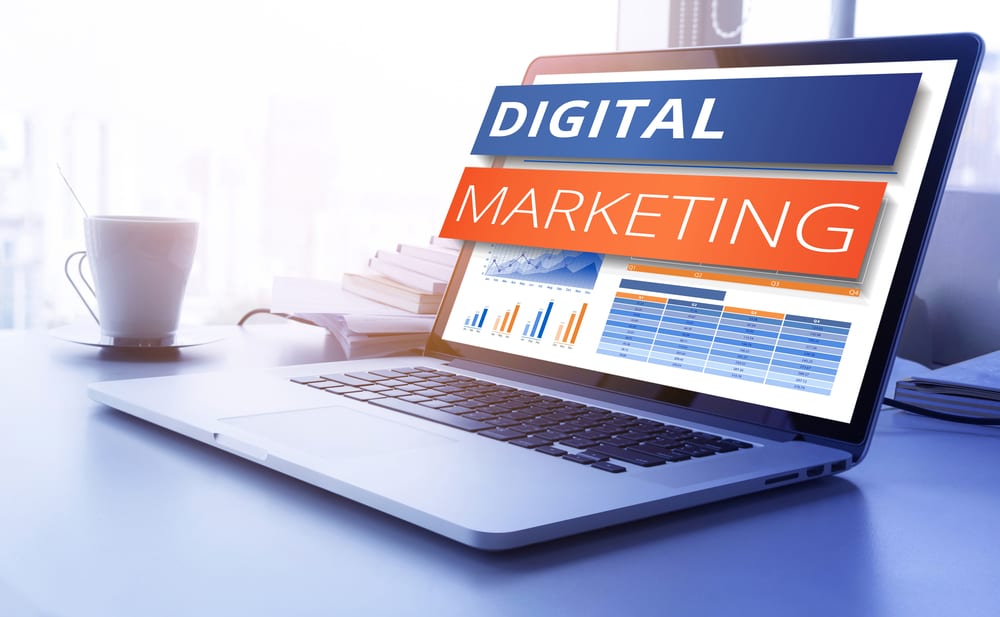 Palmetto Digital Marketing