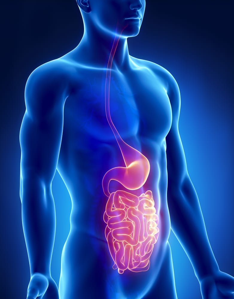 Digestive Health