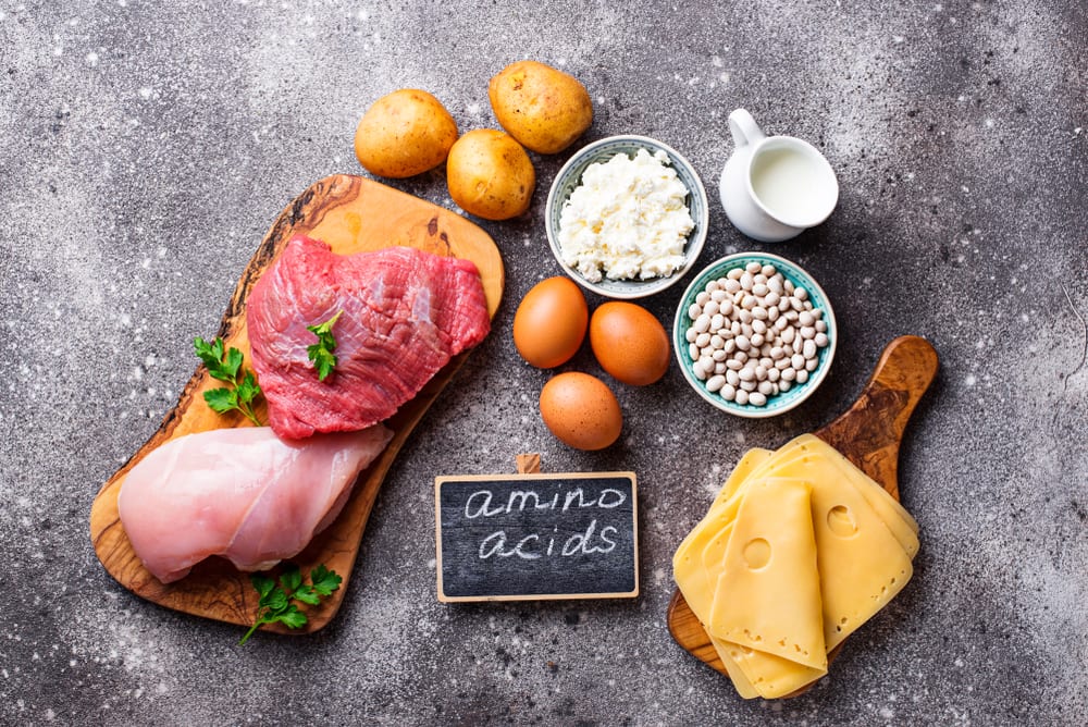 amino acids vs protein: amino acids