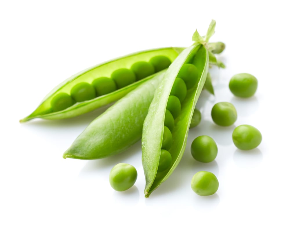 Plant proteins