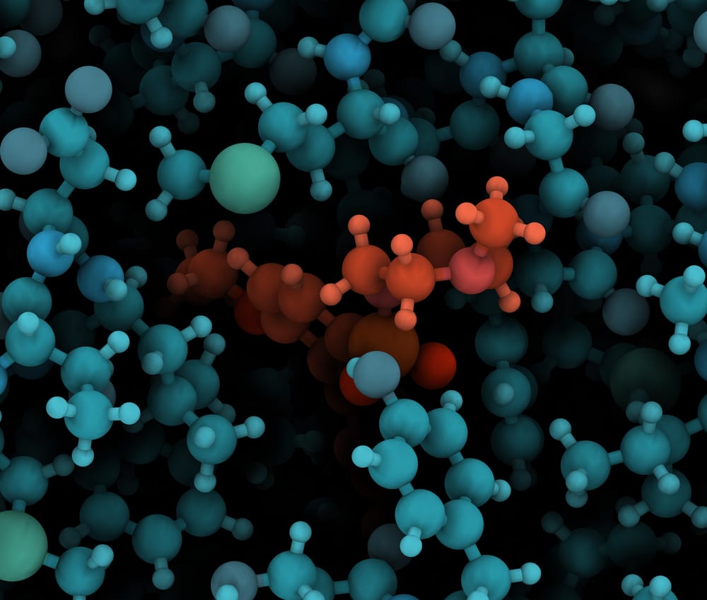 Amino Acids Vs. Proteins, What Are The Differences?
