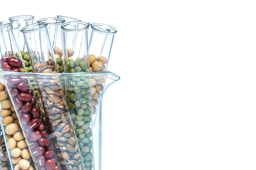 Food Chemistry
