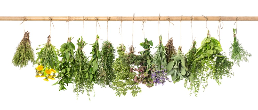 Types of Nutraceuticals: Traditional and Nontraditional