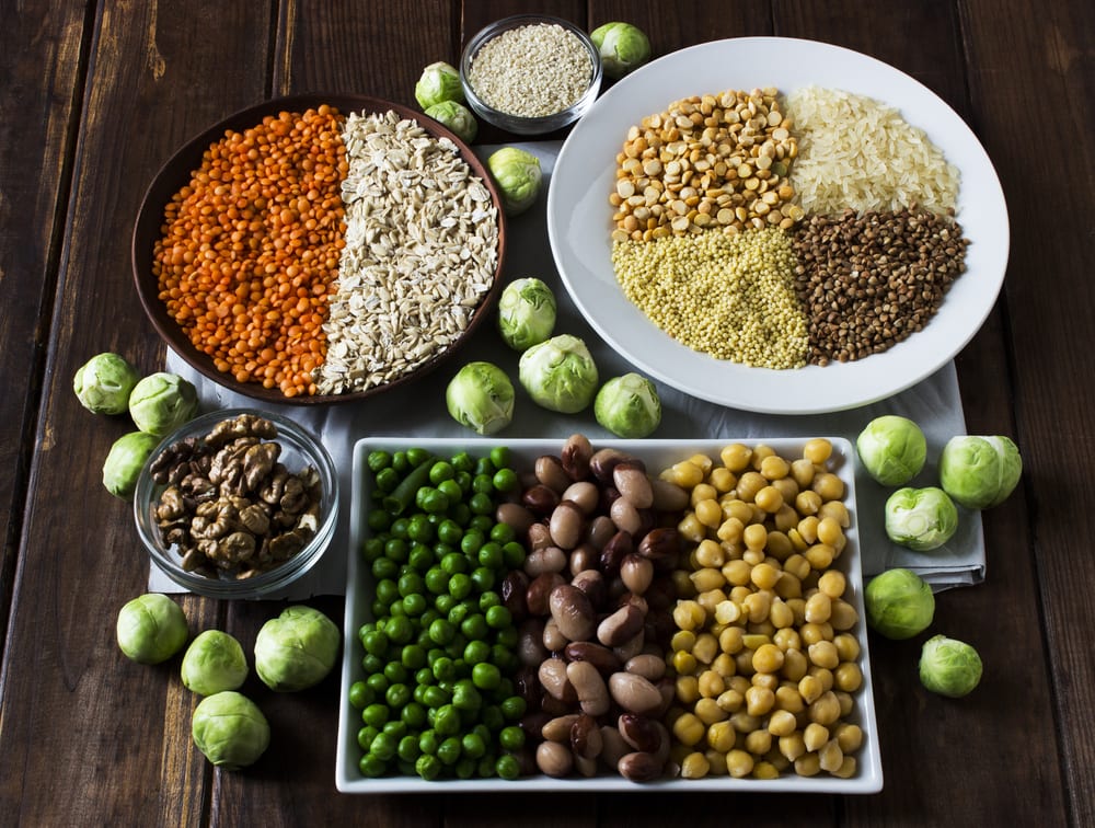 Vegan Sources Of Protein