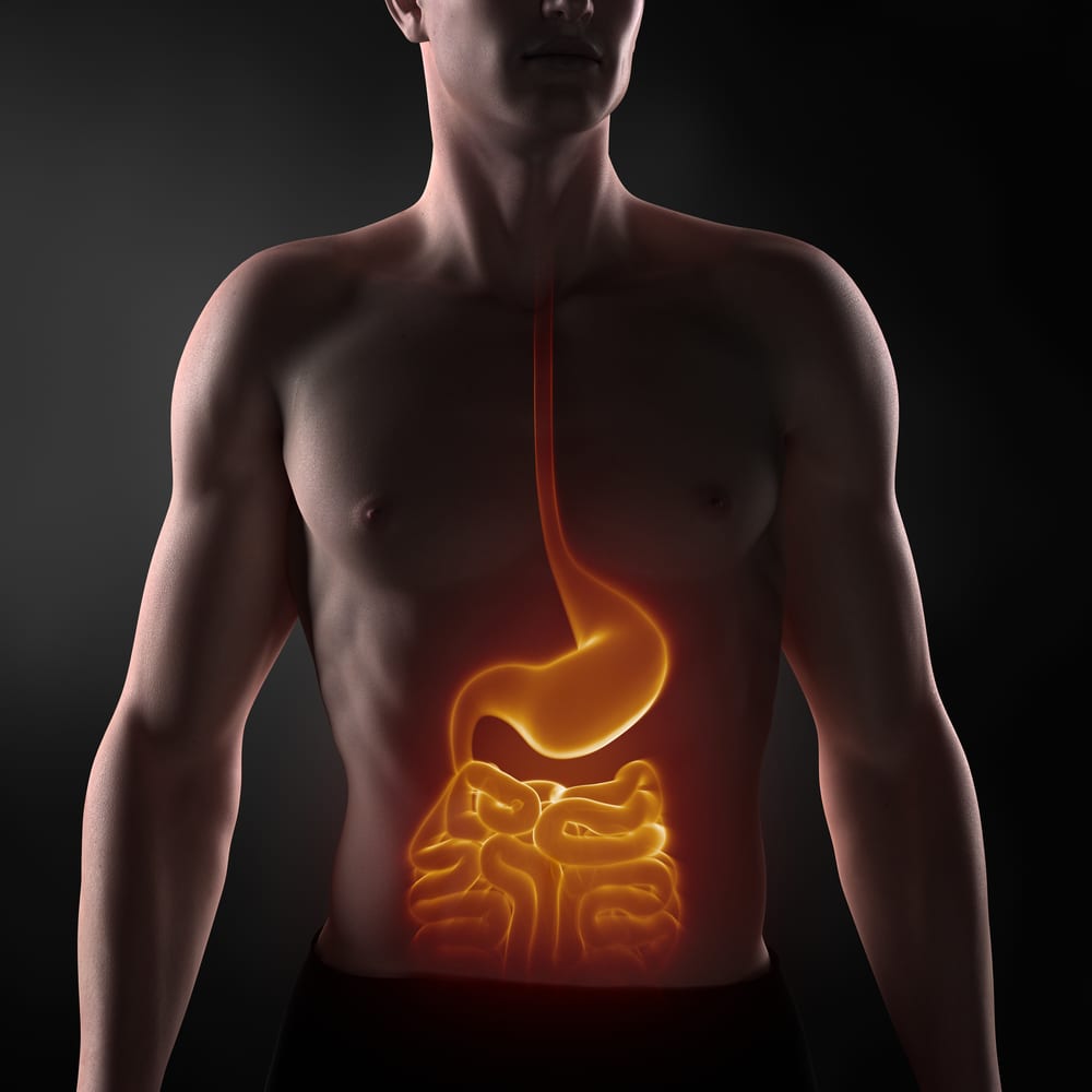 Private Label Digestive Health: Top 7 Products